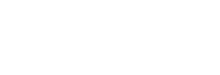 Kleinbus der Klasse D1