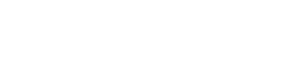 Kleinbus mit Anhaenger, Klasse D1E